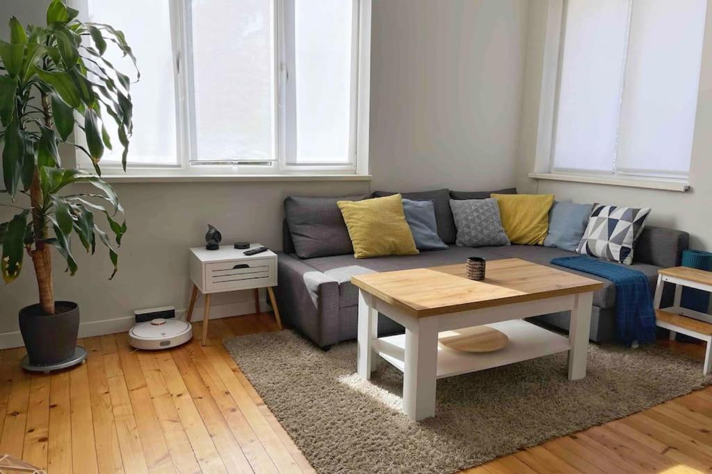 סופיה Cozy & Boho Top Center Apartment מראה חיצוני תמונה